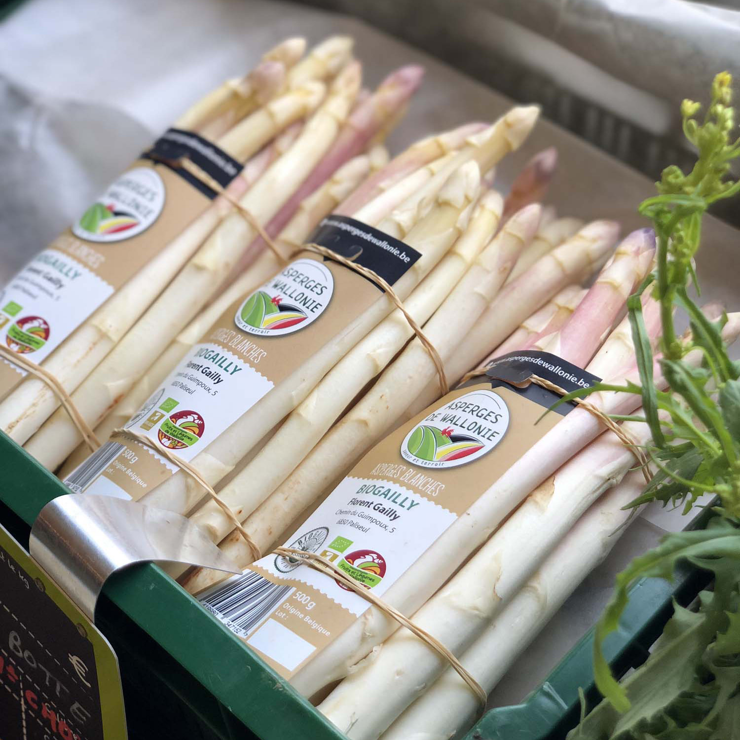 bottes asperges blanches 1_square