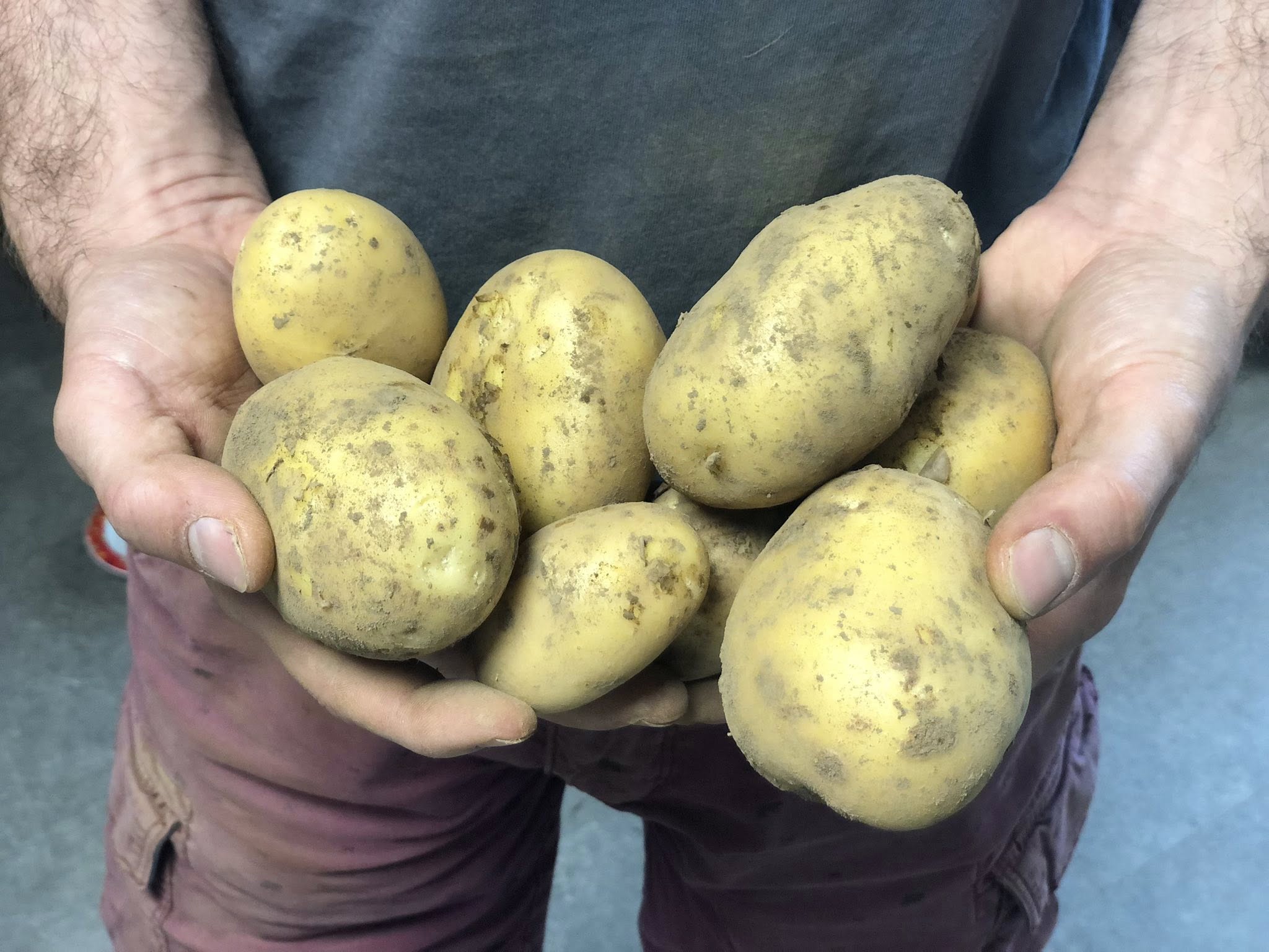 Les nouvelles PDT sont là !