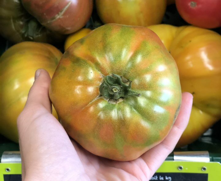 La saison des tomates anciennes est lancée !