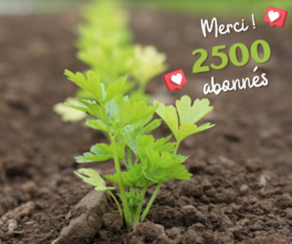 Merci ! 2500 abonnés Facebook
