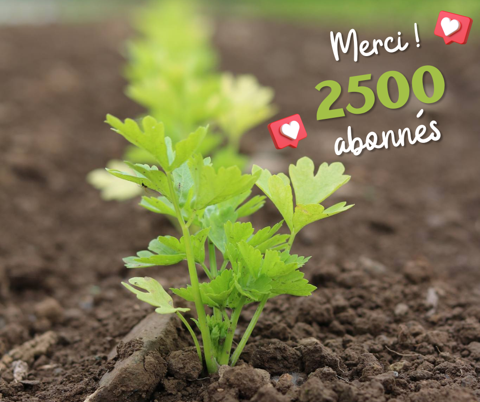 Nos légumes vous disent MERCI !