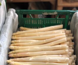 Asperges blanches du Guimpoux