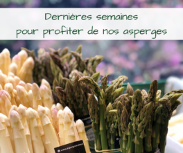 Asperges blanches et vertes bio