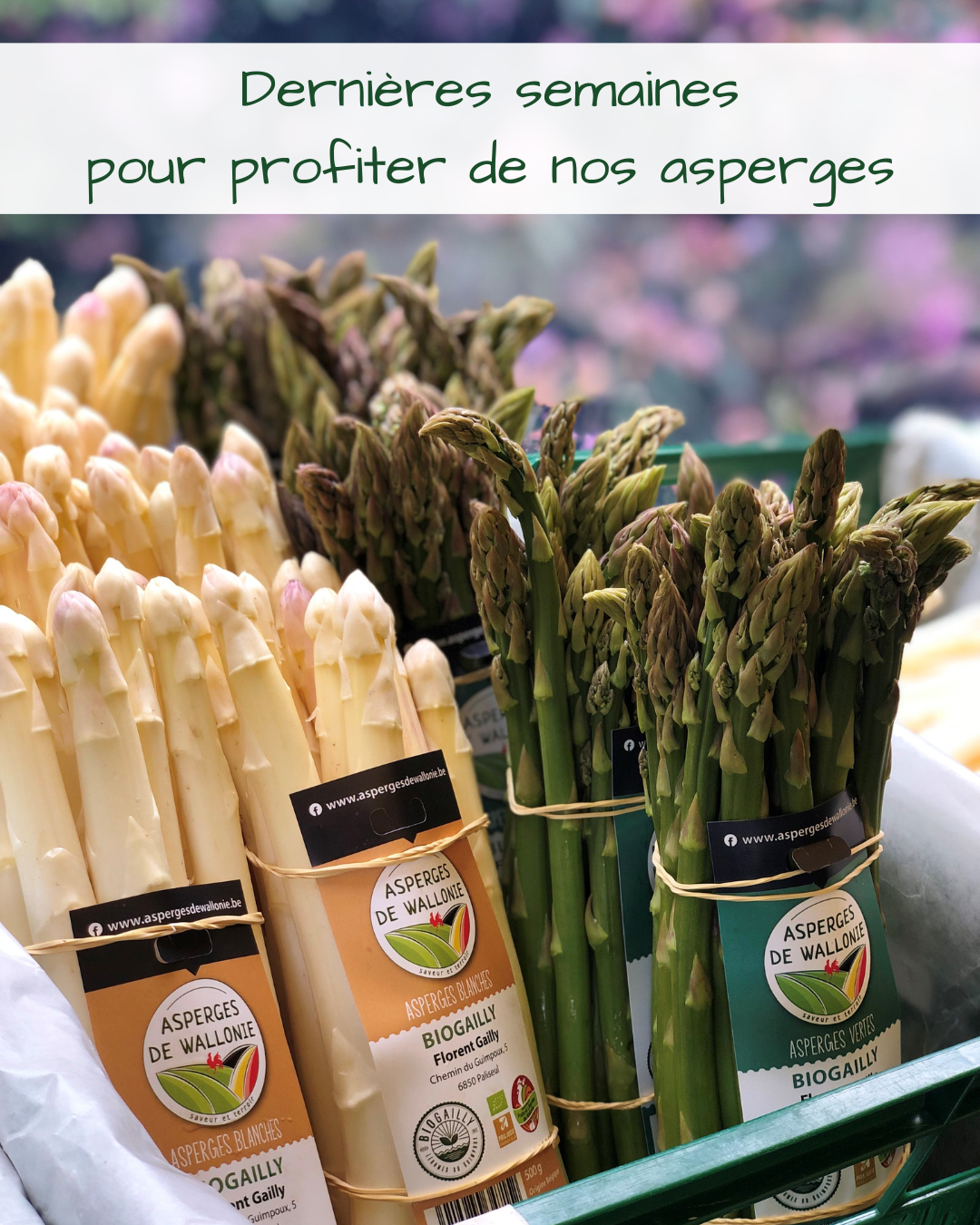 Dernières semaines pour profiter de nos asperges