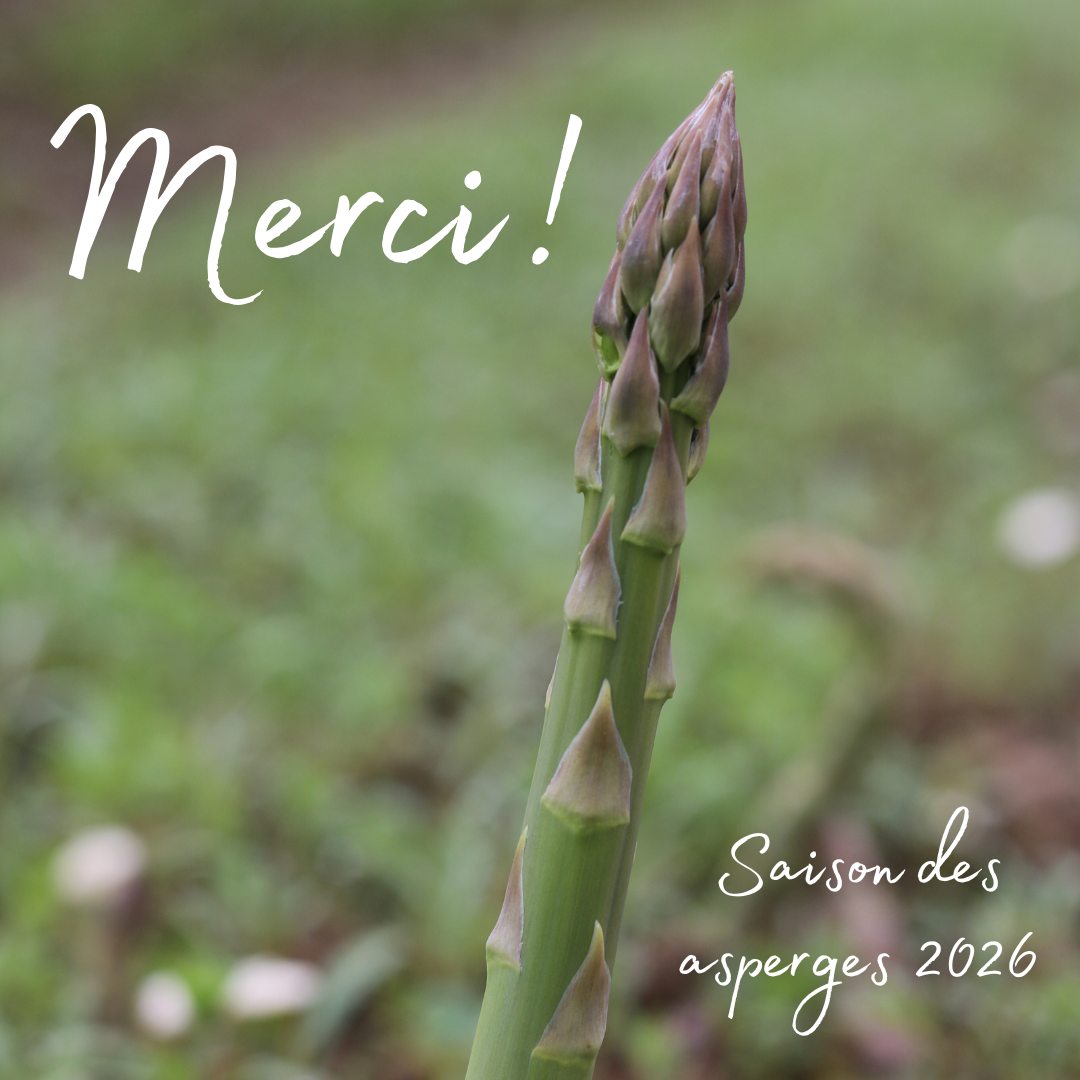 MERCI !